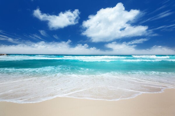 The coast in the tropics. Horizon. Waves and sea