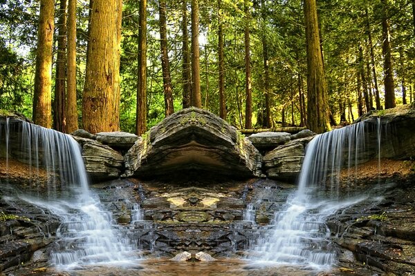 Bella cascata tra alberi ad alto fusto