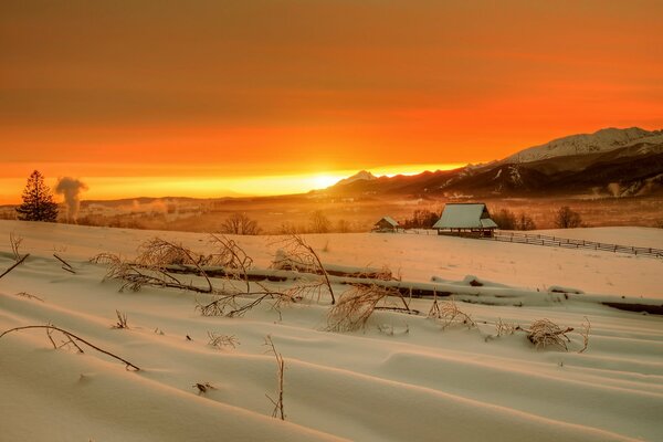 Mountain dawn and snow field