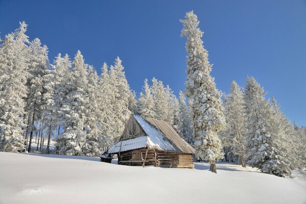 Ein einsames Haus im verschneiten Wald Polens