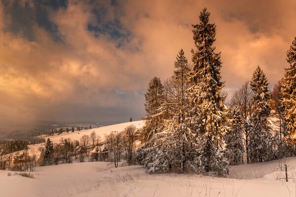 Winterwald bei Sonnenuntergang