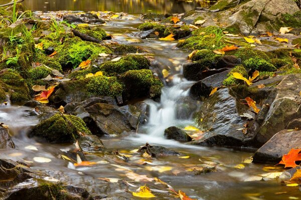 Lester Park herbstlicher Bach