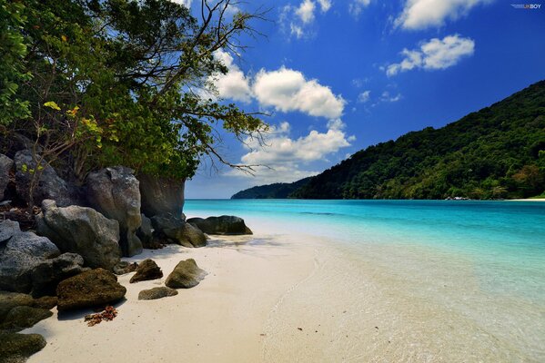 Île de villégiature dans l océan. Été à la plage