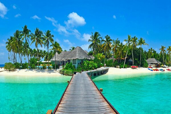 Tropischer Strand Palmen Hintergrund