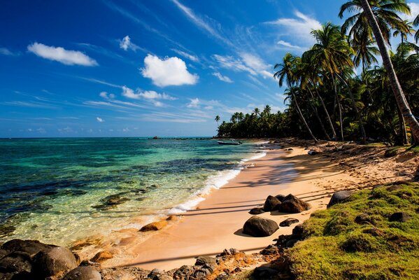 Sandy beach on the shore of the blue ocean