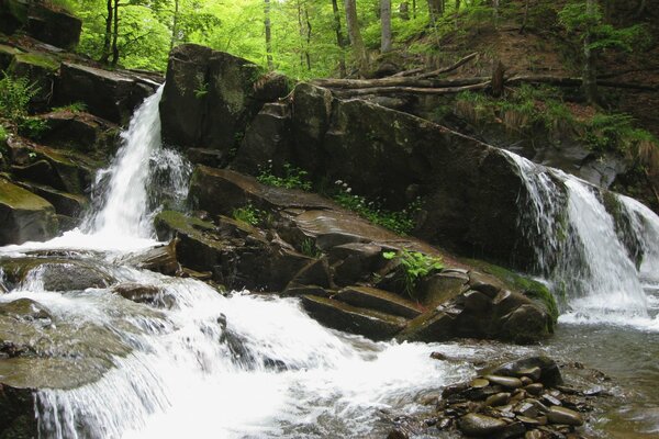 Bild des Nightingale Falls in der Ukraine