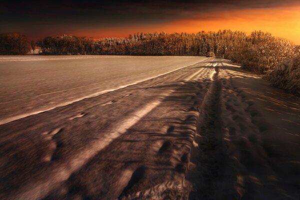 Promenade d hiver dans les champs de neige