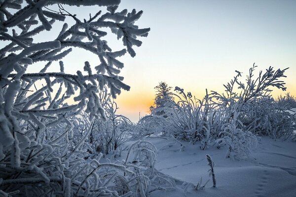 Paisaje de invierno al amanecer