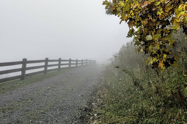 Camino a lo largo de la valla que va a la niebla