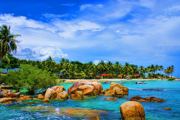 Exotische Naturlandschaft, Strand und Sonnenschirme