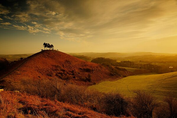 Golden hill under the clouds at sunset