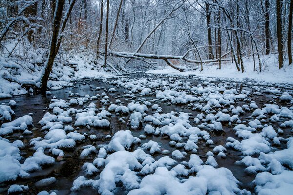 Río congelado y árboles bajo la nieve