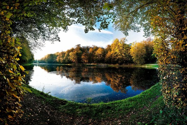 Photo of a lake in the forest