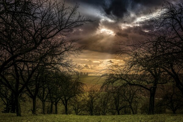 Las nubes en el cielo, a través de las nubes sombrías perforando el rayo de sol, revelando la vista del campo, en él arados árboles