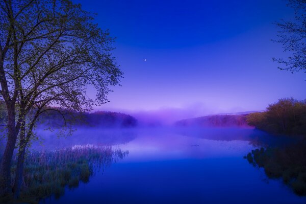 Amanecer en el bosque sobre el río en la niebla