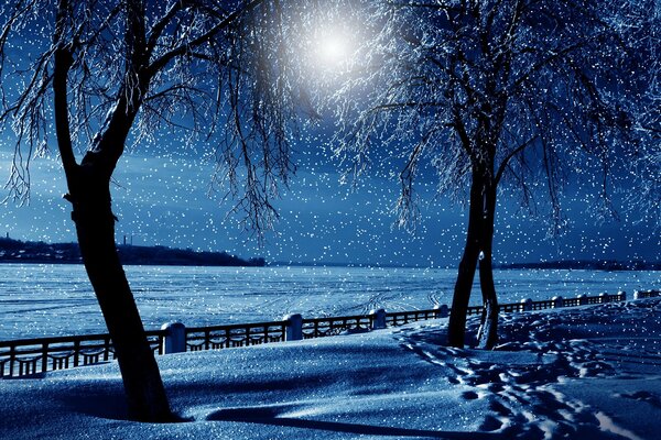 Beautiful winter night landscape