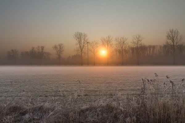 Aube glaciale sur les champs du village