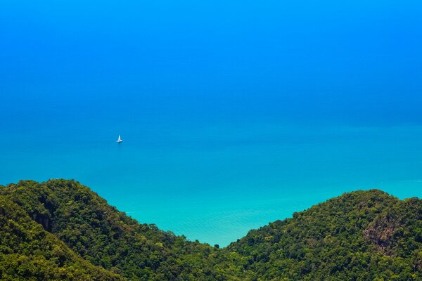 Vista dall alto della giungla e del bellissimo oceano turchese