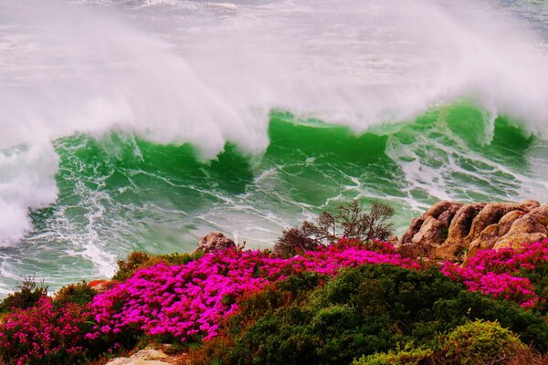 Vagues tempête météo en cause