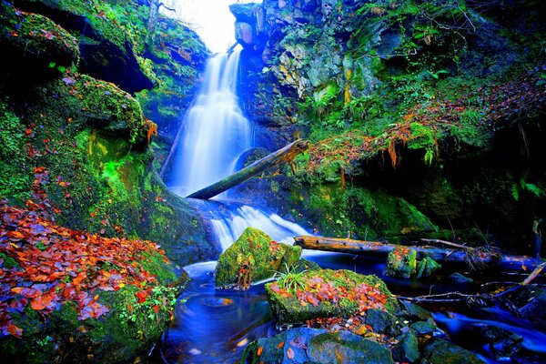 Cascada con hermosas habitaciones