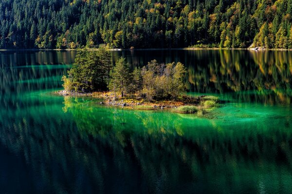 Mirror lake among the forest mountains