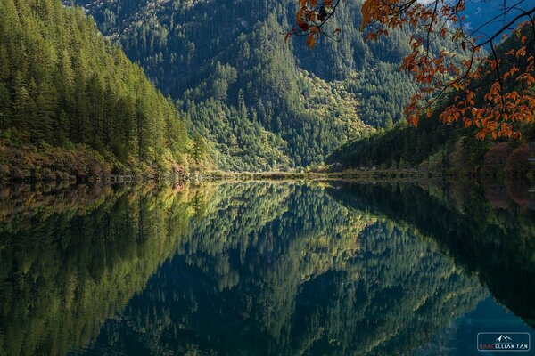 Plus tôt le matin, les montagnes regardent le lac de montagne donne une réflexion parfaite. Dans le miroir de la surface de l eau de la vidéo de la montagne, les arbres de la forêt