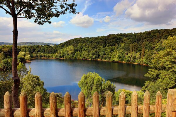 Summer landscape on the lake surrounded by dense trees