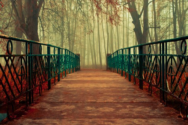 Malerische Brücke im Herbstwald