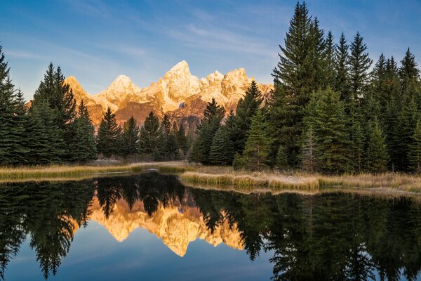 A quiet morning in the National Park