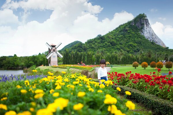 Poppy Valley in the Pattaya mountains