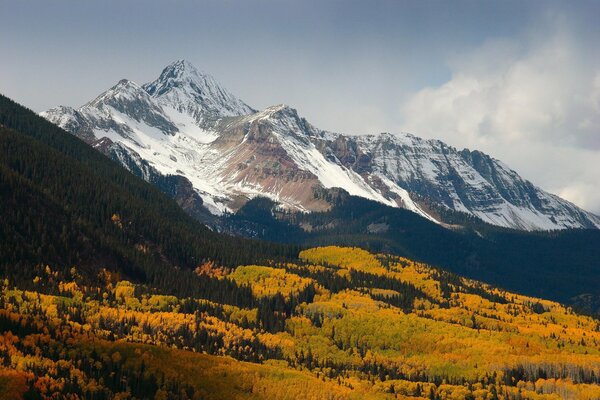 Autumn mountain peaks forest slopes