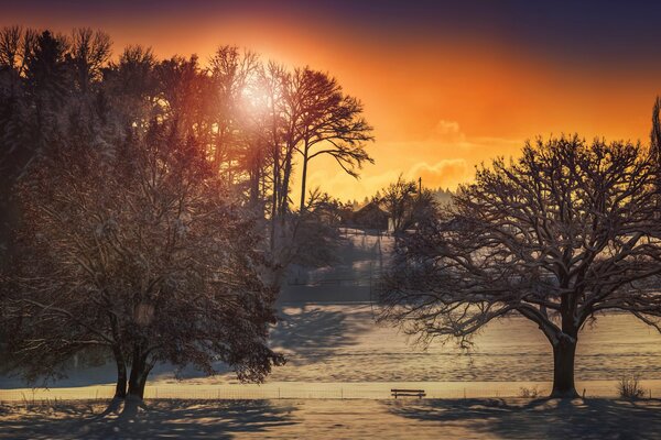 Journée d hiver ensoleillée photo dans un traitement inhabituel