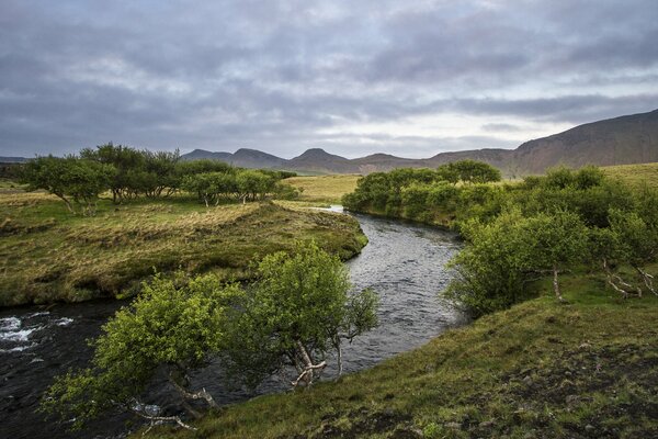 Paisaje, sur de Islandia, verano