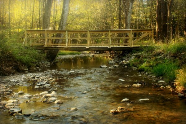 Brücke über den Fluss im Wald. Landschaft