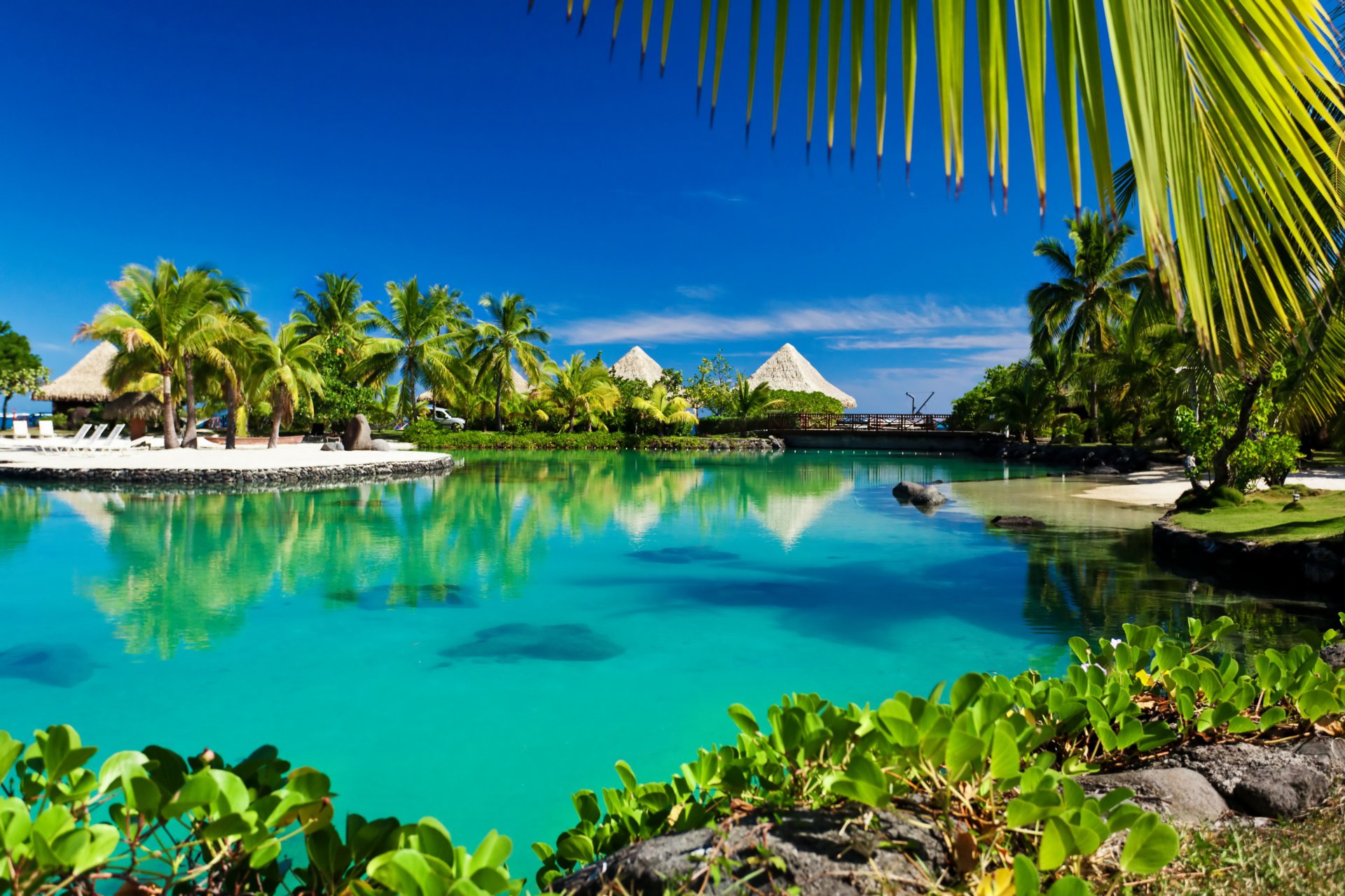 tropical paradise beach palm trees sea ocean sun summer vacation tropics lagoon