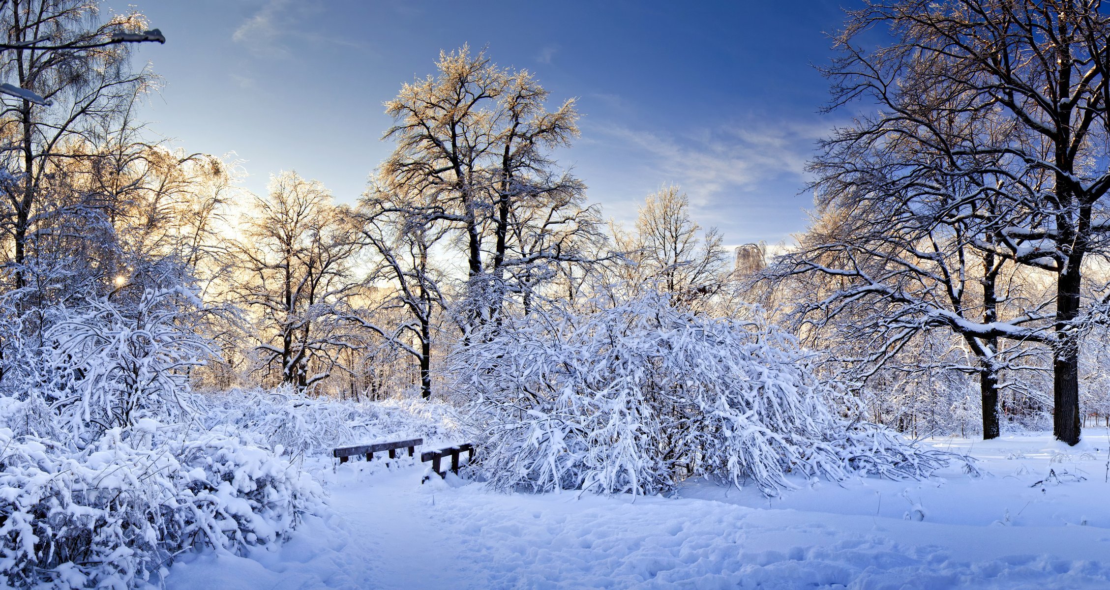 zima natura śnieg drzewa gałęzie krzewy most most