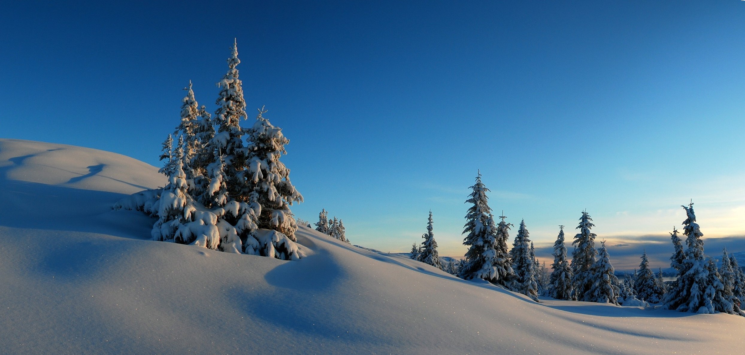 invierno nieve colinas árboles abeto cielo puesta de sol escarcha horizonte