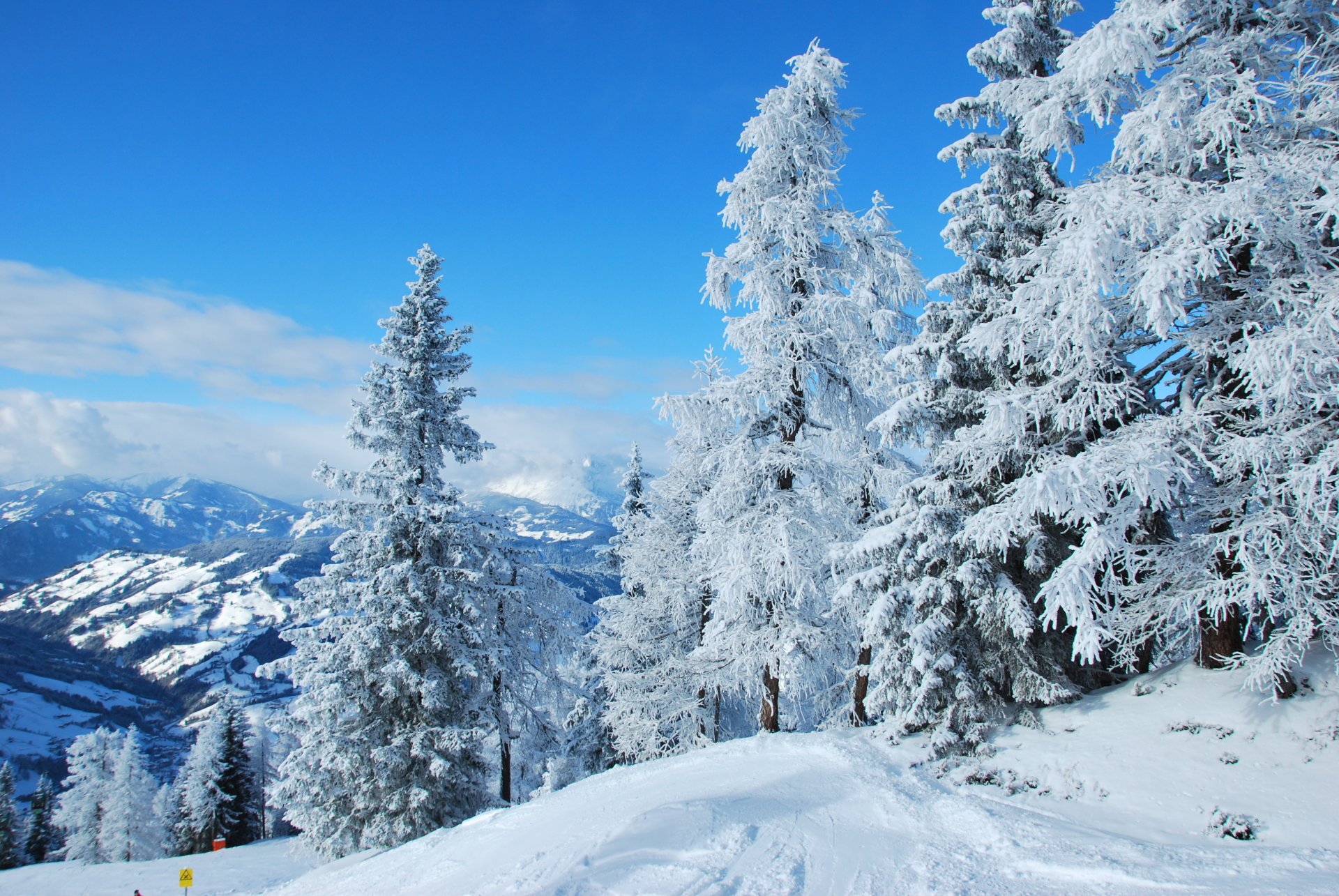 natura austria foresta inverno neve