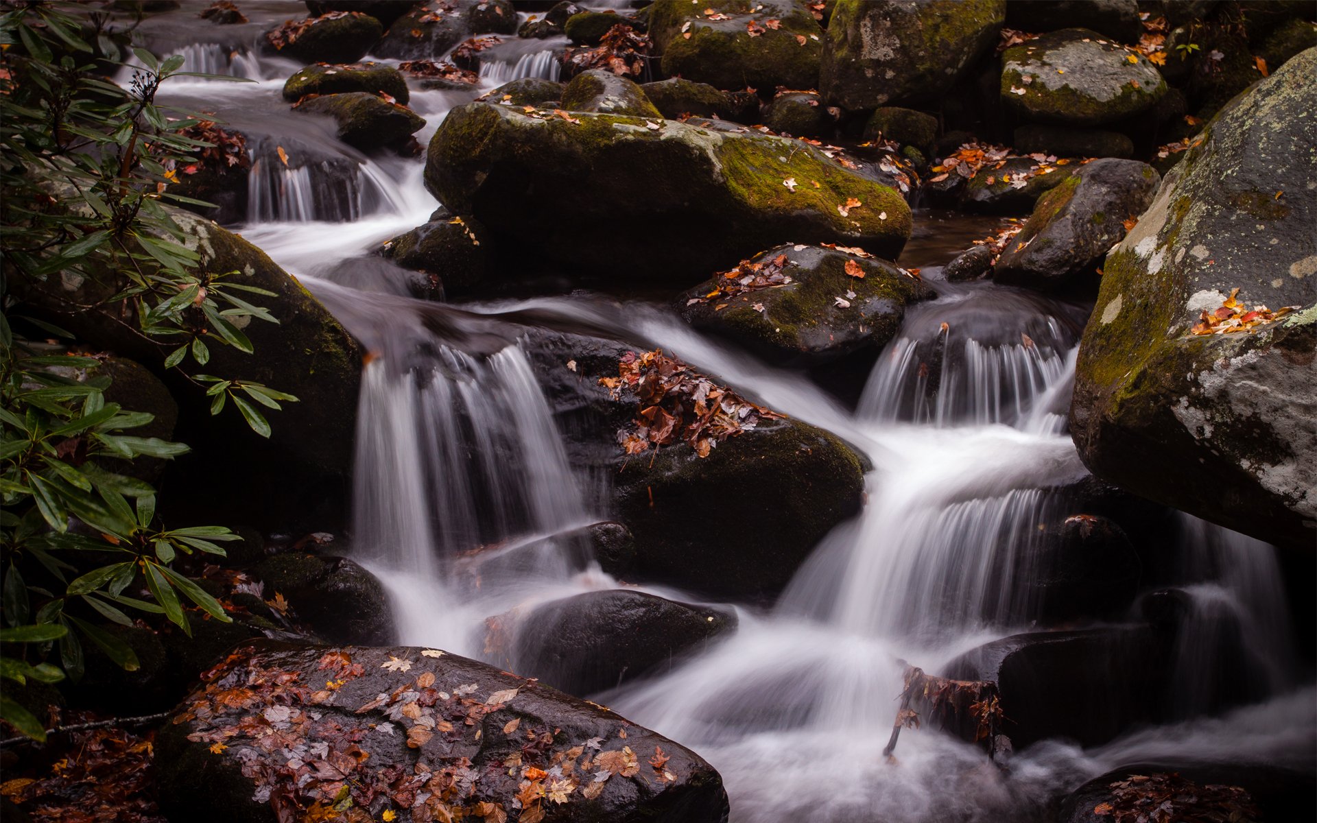 cascada agua piedras hojas