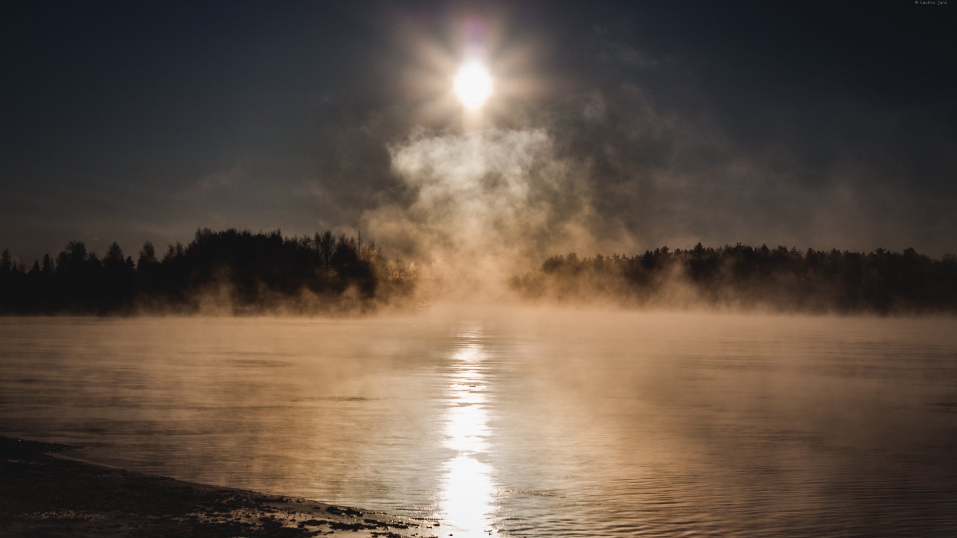 lago bosque sol niebla frío