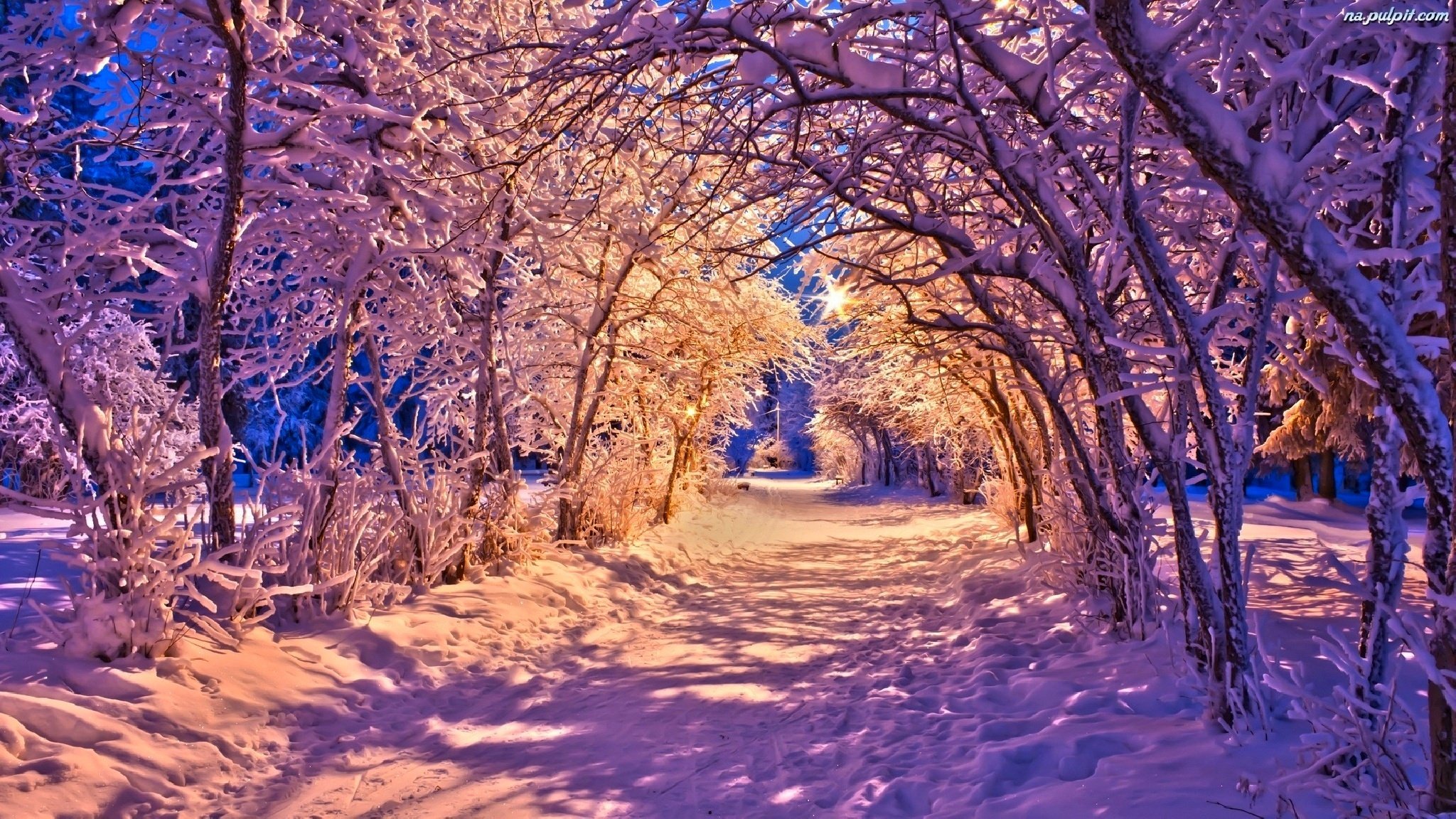 natura zima ławka park latarnie światła śnieg droga drzewa las krajobraz zima biały fajne ładne zachód słońca stoisko latarnie