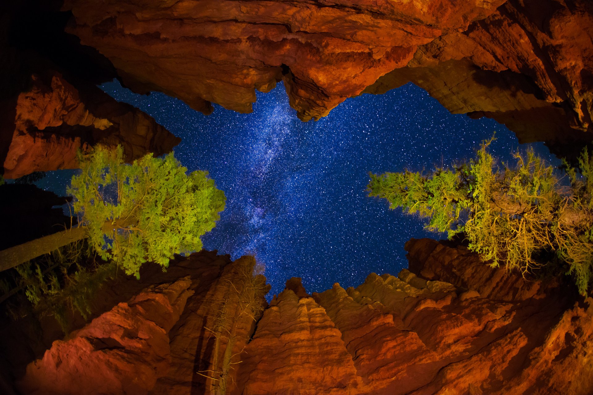 états-unis utah parc national de bryce canyon nuit ciel étoiles voie lactée roches arbres