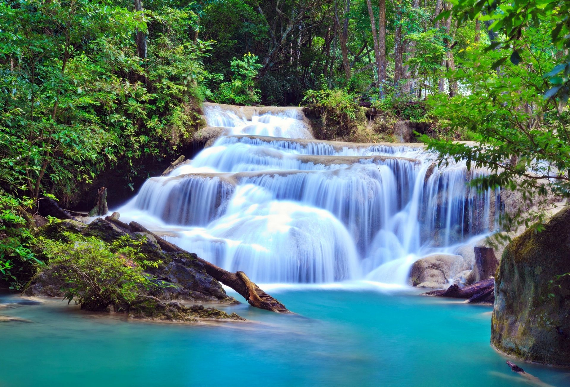 natura cascata alberi verde