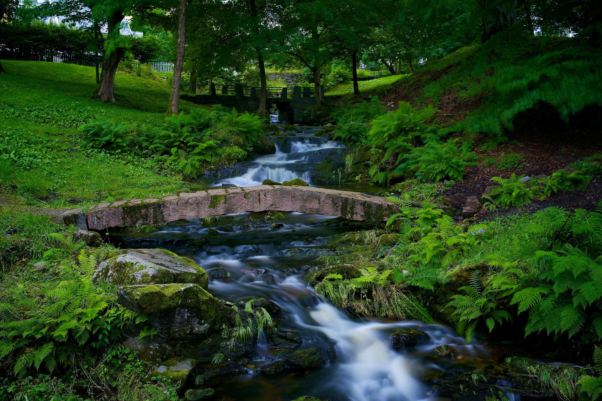 park rzeka przyroda