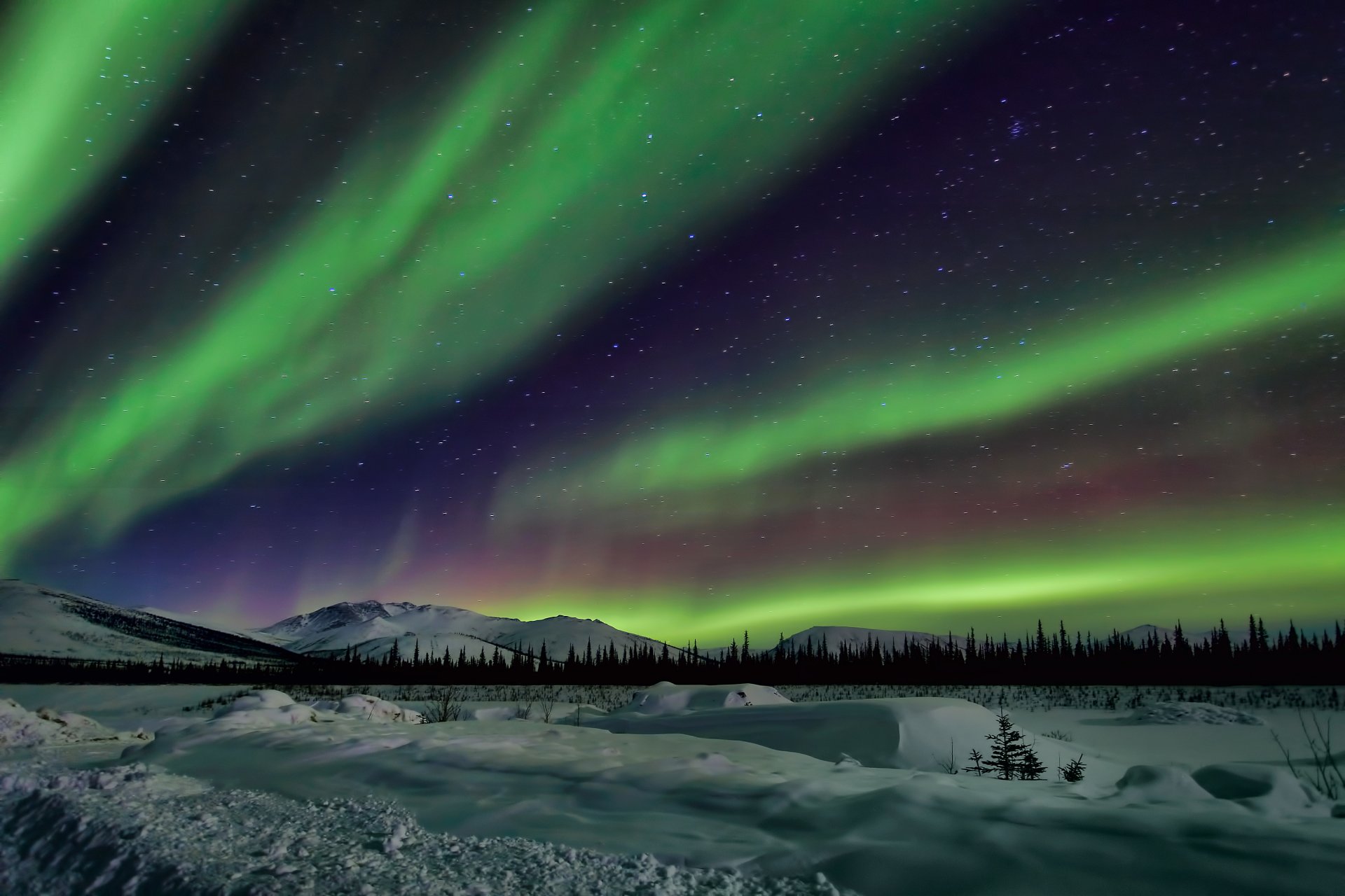 alaska aurora boreal paisaje cielo noche estrellas montañas árboles nieve