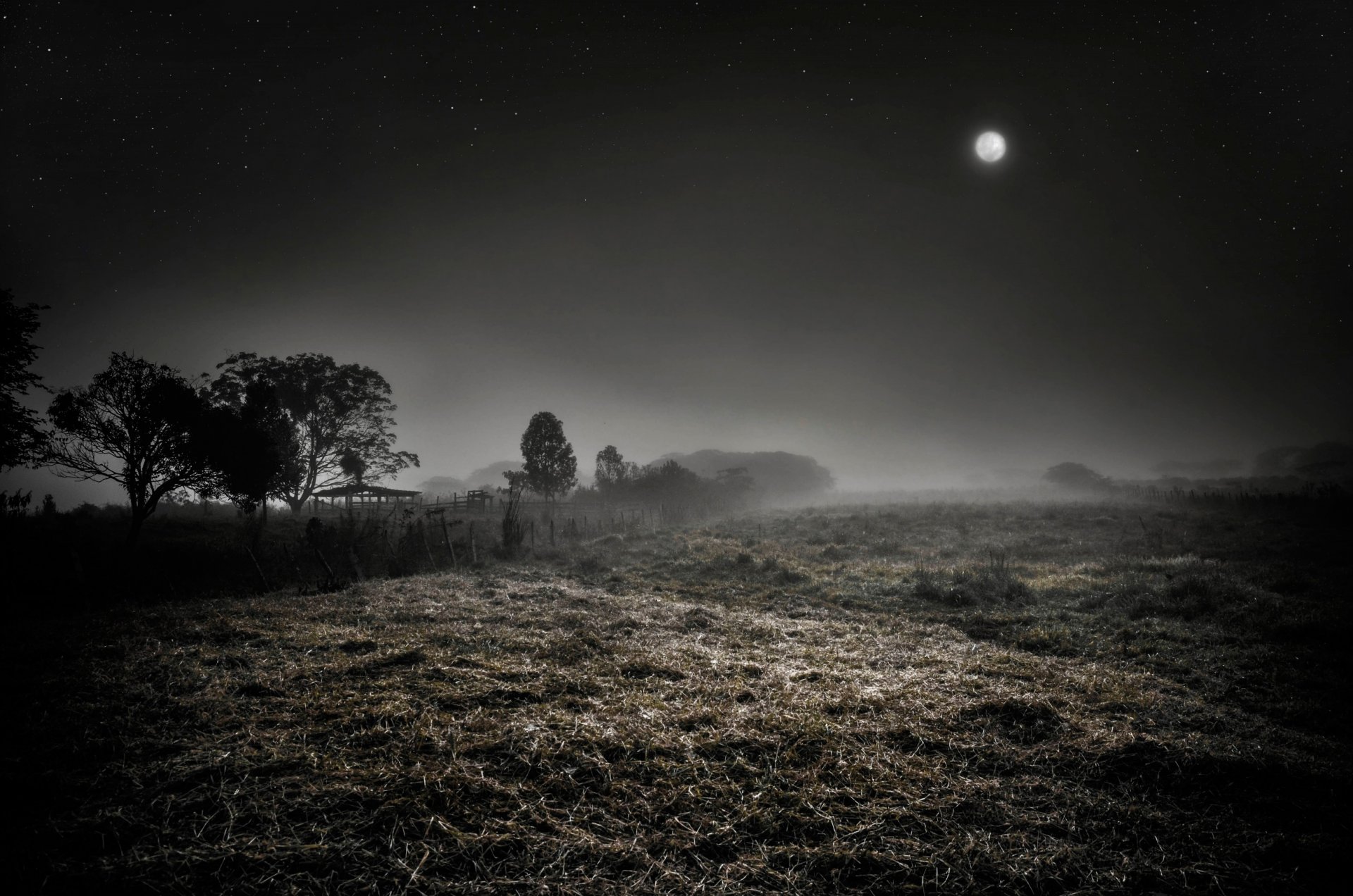 nuit brouillard lune