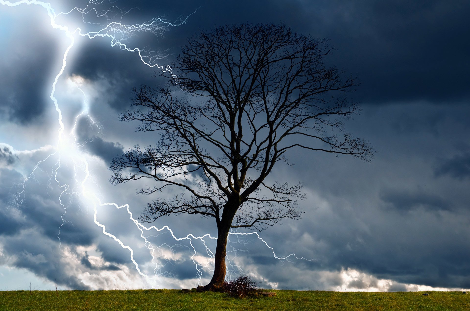 natura temporale albero fulmine nuvole