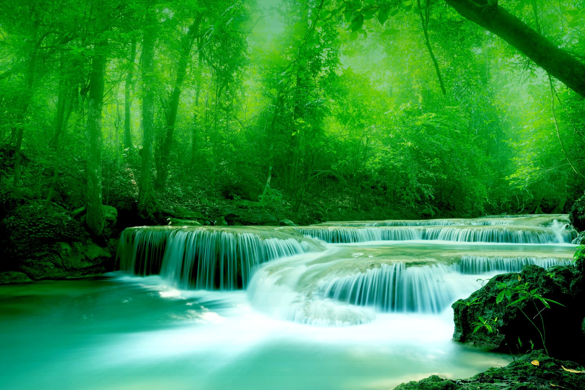 río agua piedras árboles follaje vegetación