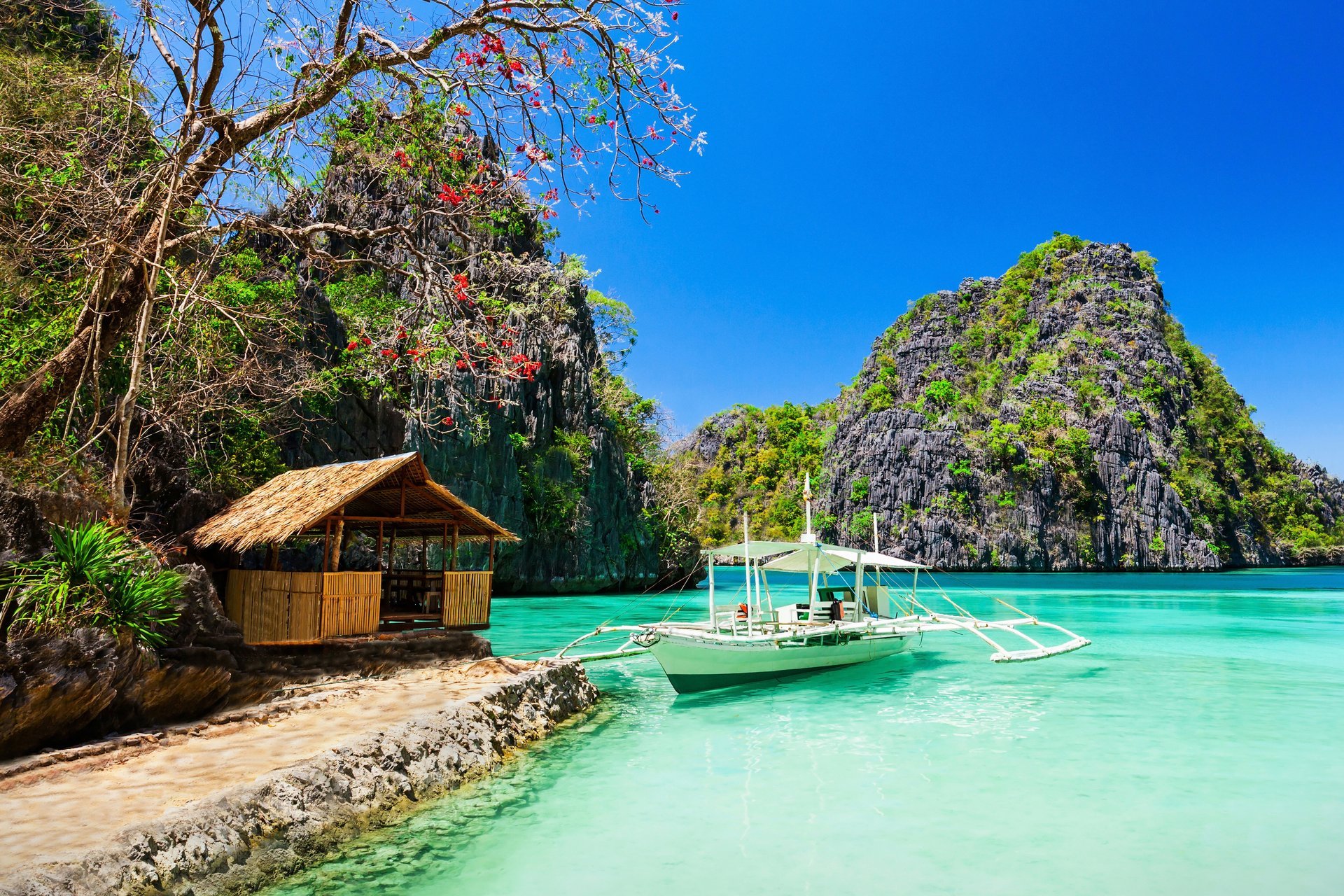 tropical paradise sea coast beach trees rocks house seashore rocks house