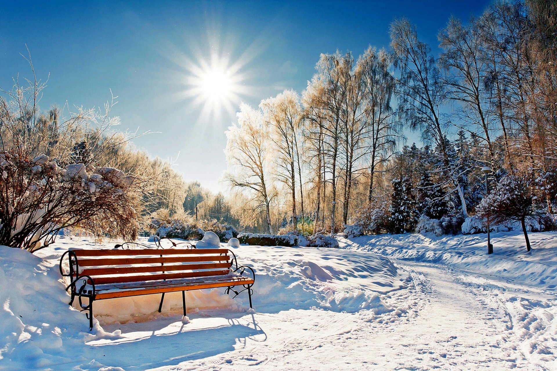 naturaleza banco bosque parque sol invierno nieve cielo paisaje invierno blanco fresco agradable puesta de sol banco